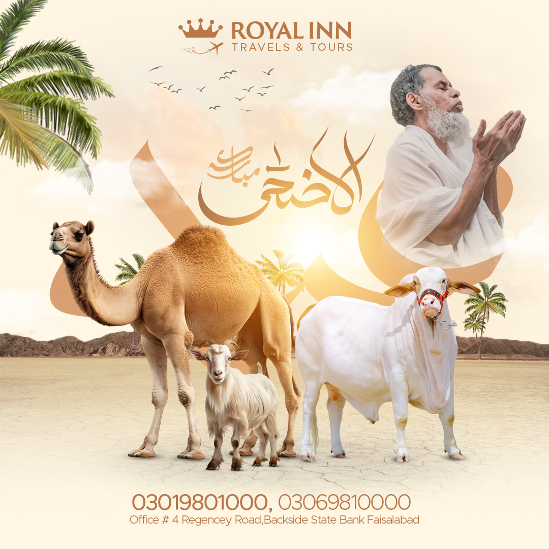 ROYAL INN TRAVEL MULTIPLE CAMPAIGN